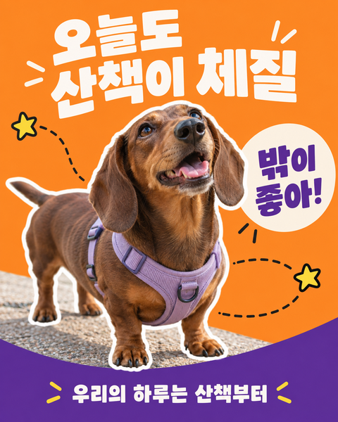 오늘도 산책이 체질