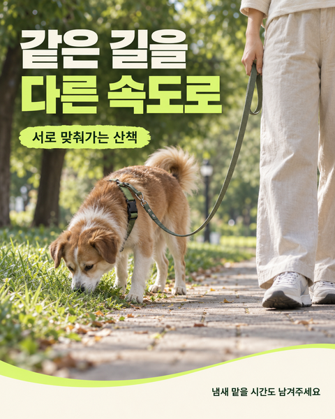 같은 길을 다른 속도로