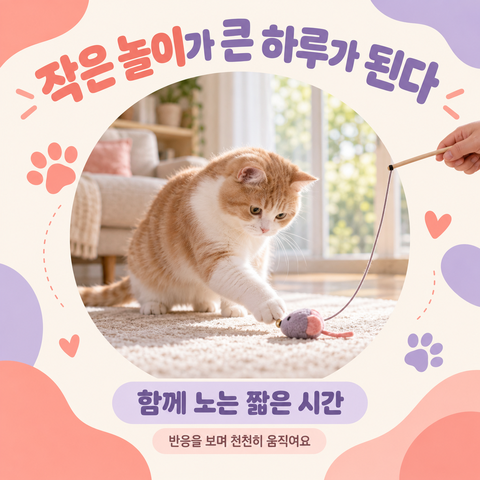 작은 놀이가 큰 하루가 된다