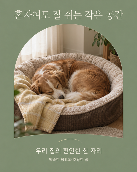 혼자여도 잘 쉬는 작은 공간